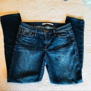 Joe’s Jeans, skinny visionaire fit. Size 28.